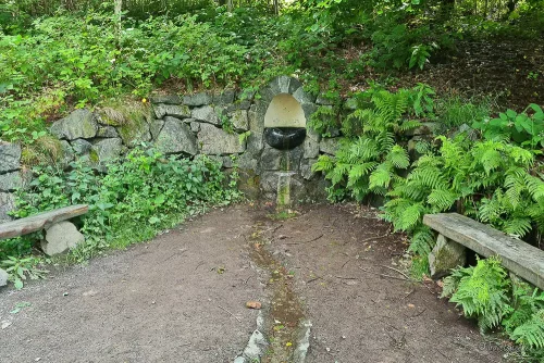 wasserquelle bei der wanderung liebesbankweg im harz