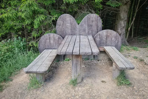 liebesbank wanderung liebesbankweg bei hahnenklee im harz