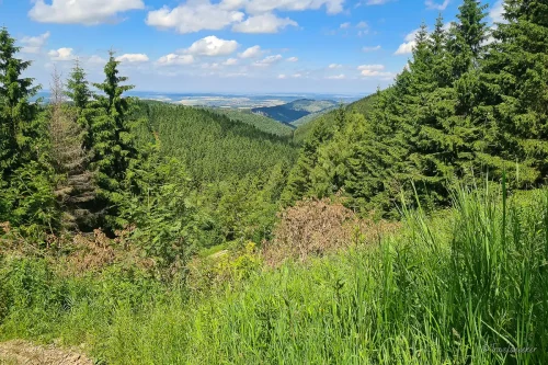 aussicht wanderung liebesbankweg im harz