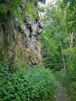 felswand auf dem rundwanderweg treseburg todtenrode im harz
