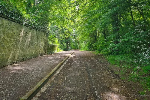leichte wanderung bei königslutter am elm