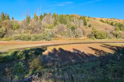 rundwanderweg um die talsperre königshütte im harz