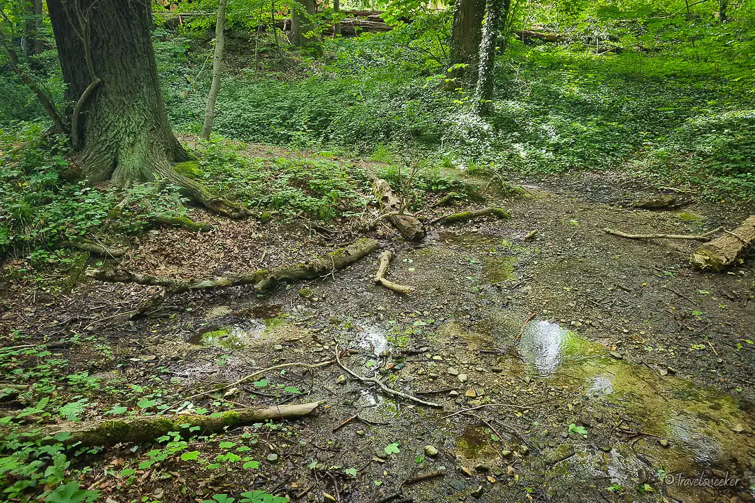 kutscherlochquelle wanderung bei königslutter am elm
