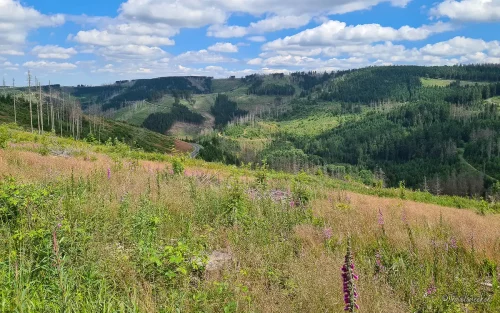 aussicht wanderung liebesbankweg im harz