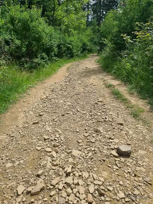 wanderweg liebesbankweg harz