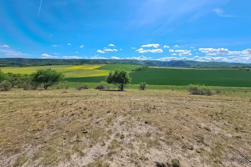 aussicht wanderung entlang der teufelsmauer bei timmenrode im harz