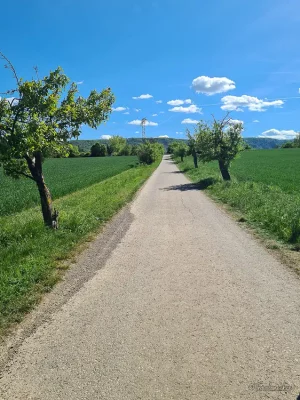 rundwanderweg von timmenrode, teufelsmauer, bode im harz