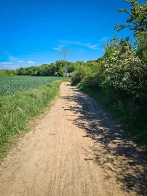 rundwanderweg von timmenrode, teufelsmauer, bode im harz