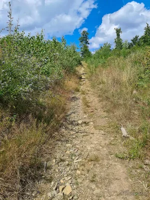 rundwanderweg treseburg todtenrode im harz