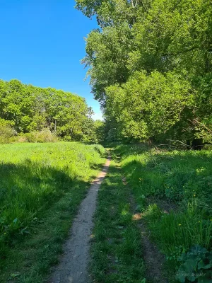 rundwanderweg von timmenrode, teufelsmauer, bode im harz