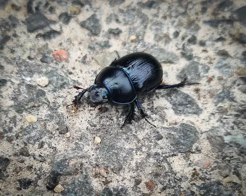 käder bei wanderung bei königslutter am elm