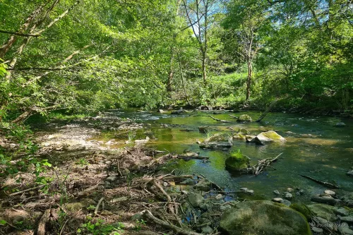 wanderung entlang der bode im harz