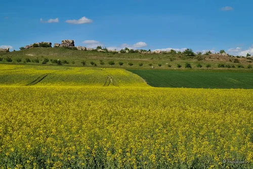 rundwanderweg von timmenrode, teufelsmauer, bode im harz