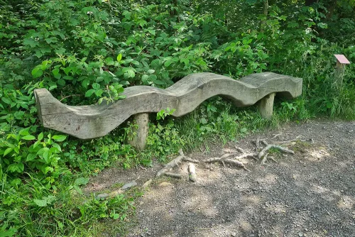 holzbank bei der wanderung liebesbankweg hahnenklee im harz