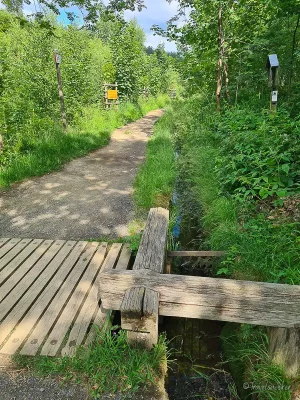wanderung liebesbankweg im harz