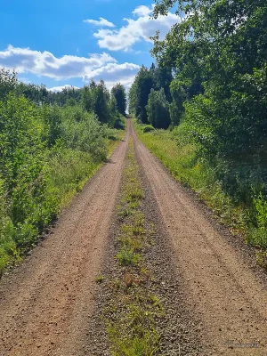 rundwanderweg stecklenburg mit hexenlinde im harz