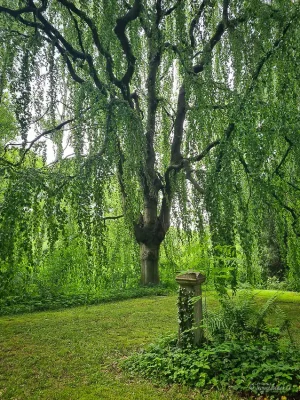 friedhof wanderung bei königslutter am elm
