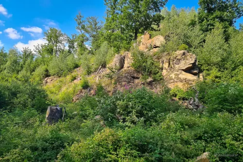 felsen wanderung durch das wurmbachtal bei stecklenberg im harz