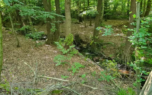 wanderung durch das wurmbachtal entlang des wurmbach
