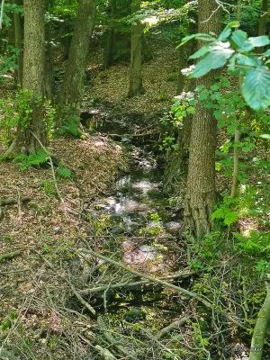 wurmbach wanderung durch das wurmbachtal stecklenberg im harz
