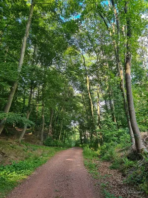 wanderung durch das wurmbachtal stecklenberg im harz