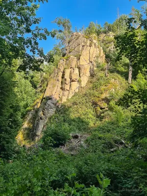 wanderung durch das wurmbachtal bei stecklenberg im harz