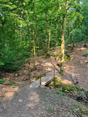 brücke über wurmbach wanderung durch das wurmbachtal bei stecklenberg im harz