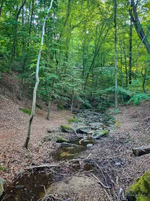wanderung durch das wurmbachtal stecklenberg im harz