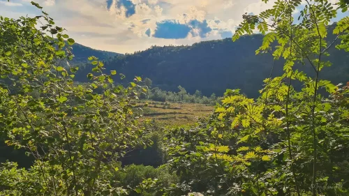 aussicht wilhelmsblick treseburg wanderung im harz