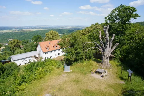 aussicht burgruine lauenburg rundwanderung harz