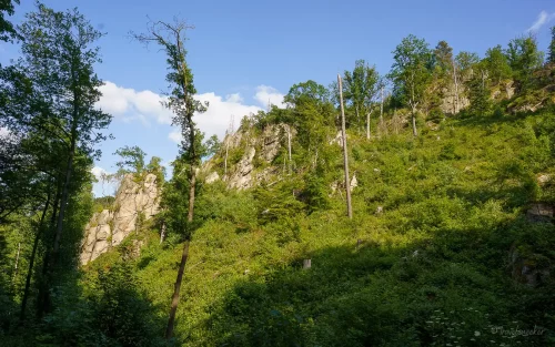 felswand wanderung durch das wurmbachtal bei stecklenberg im harz