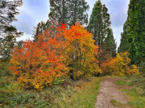 weltwald harz wanderung