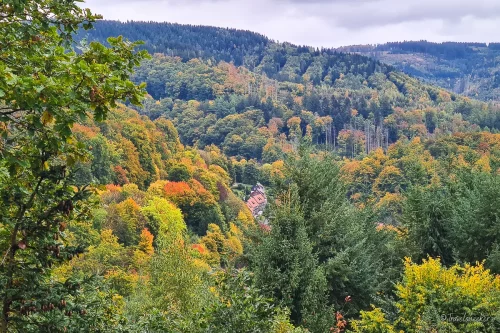 weltwald ausblick auf bad grund harz