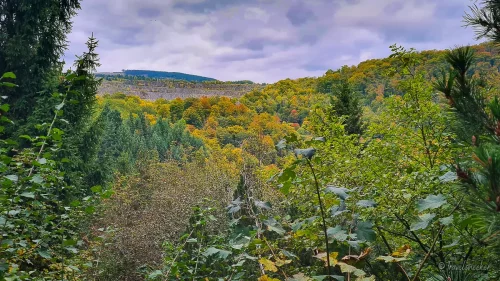 ausblick in den harz vom weltwald