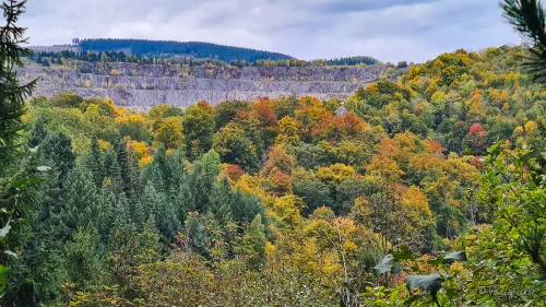 ausblick weltwald im harz